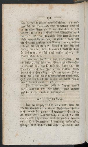 Seite 