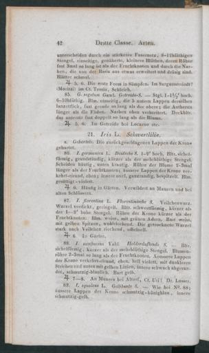 Seite 