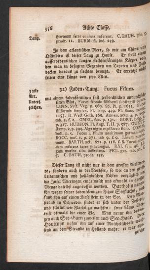Seite 