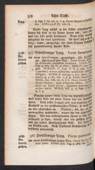 Seite 