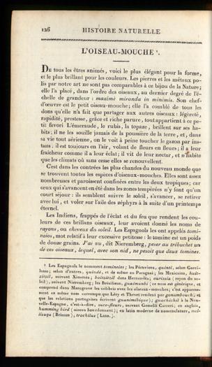 Seite 