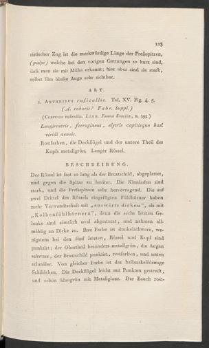 Seite 