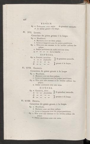 Seite 