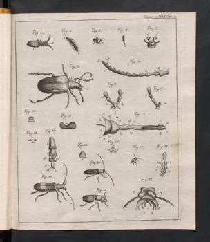 Seite 