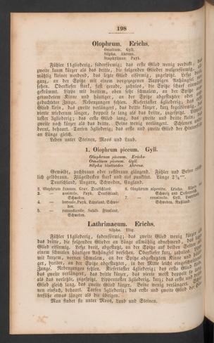 Seite 