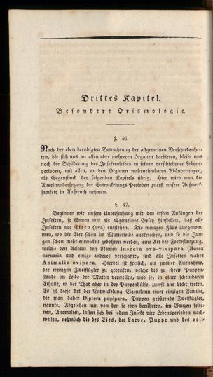 Seite 