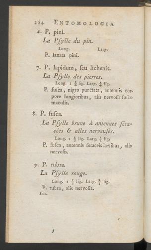 Seite 
