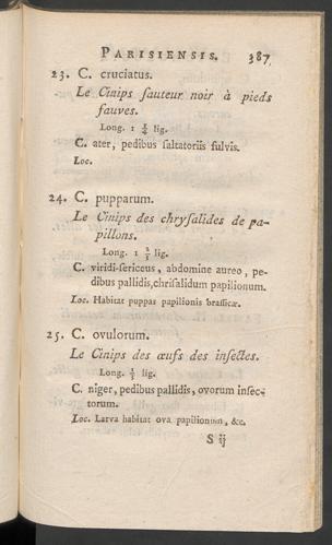 Seite 