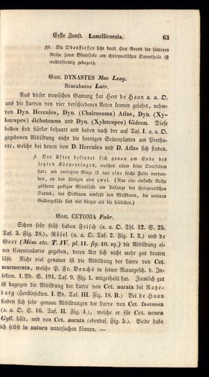 Seite 