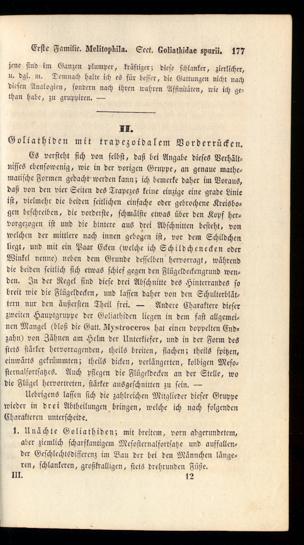 Seite 