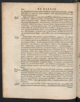 Seite 