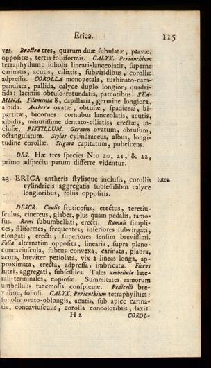 Seite 