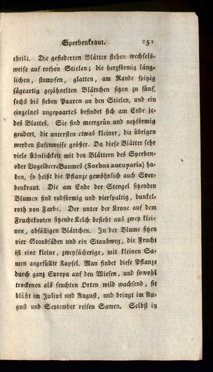 Seite 