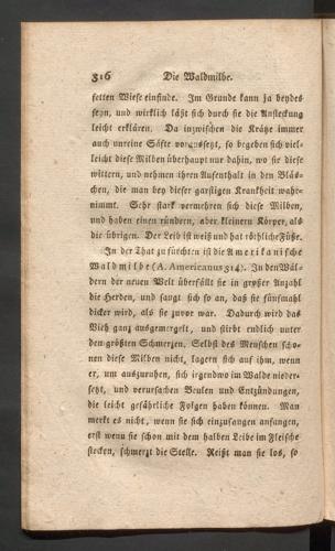 Seite 