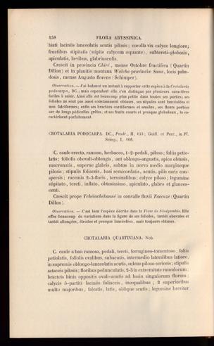 Seite 