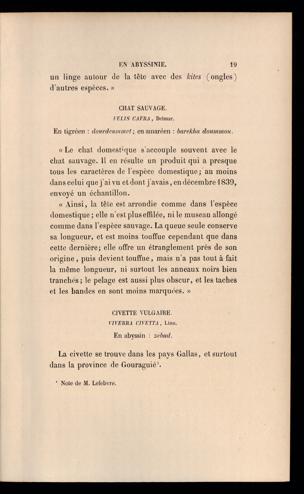 Seite 