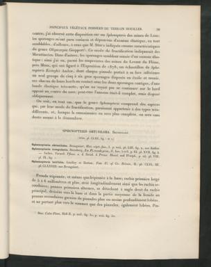 Seite 