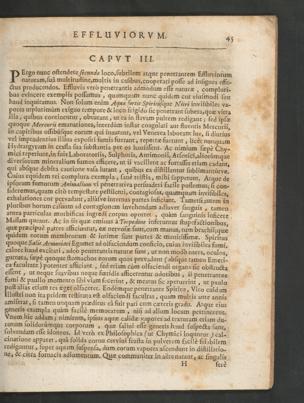 Seite 
