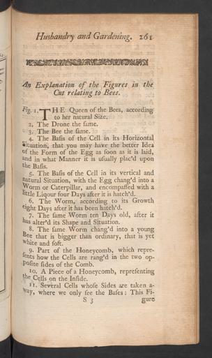 Seite 