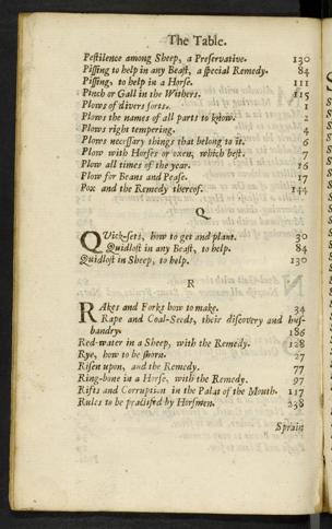 Seite 