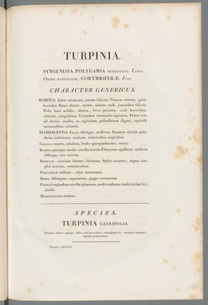 Seite 