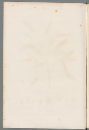 Seite 
