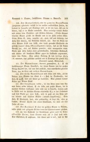 Seite 
