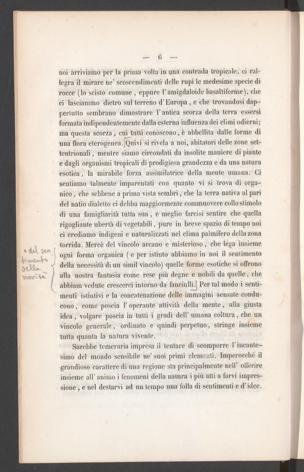 Seite 