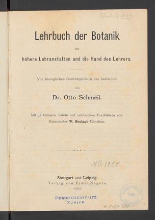 Zur Seitenansicht
