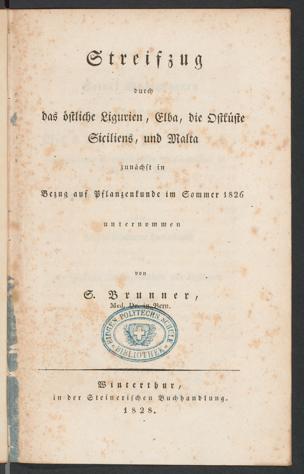 Zur Seitenansicht