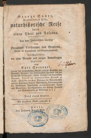 Zur Seitenansicht