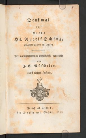 Zur Seitenansicht